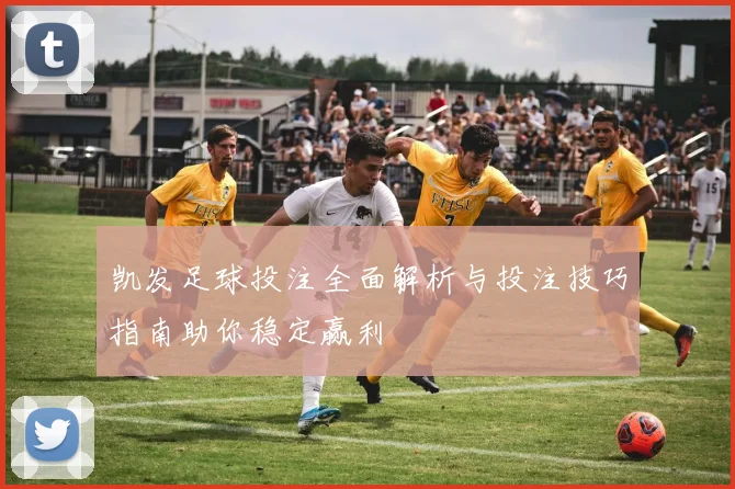 凯发足球投注全面解析与投注技巧指南助你稳定赢利