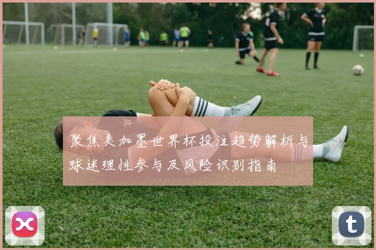 聚焦美加墨世界杯投注趋势解析与球迷理性参与及风险识别指南