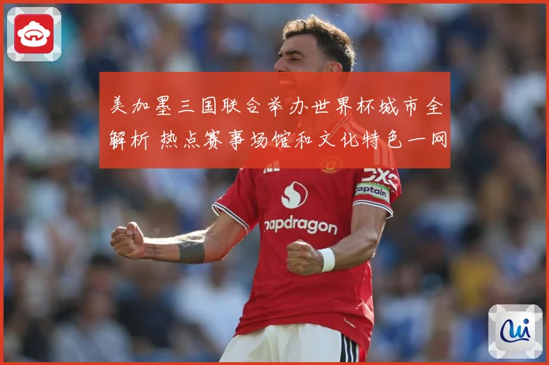 美加墨三国联合举办世界杯城市全解析 热点赛事场馆和文化特色一网打尽