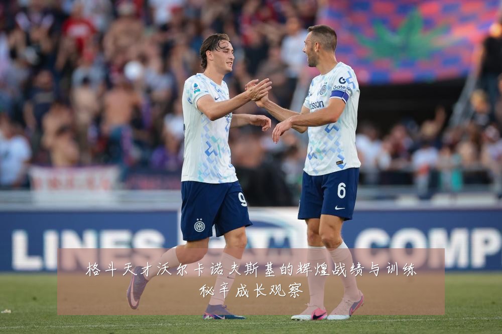 格斗天才沃尔卡诺夫斯基的辉煌战绩与训练秘辛成长观察